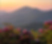 7146D498-11CF-4D40-9AA1-A82D57F29445_1_201_a.jpeg