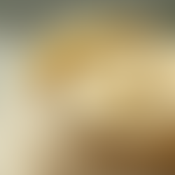 Discover the Skin Benefits of CBD Skin Care with Body Butter