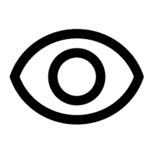 Vision.png