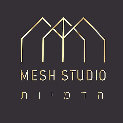 לוגו MESH-1.jpg