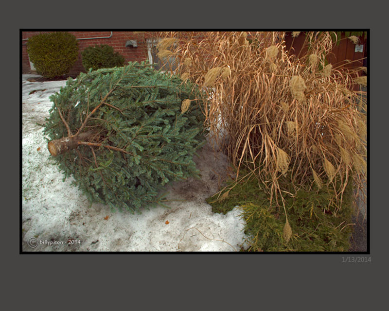 xmas-tree-10