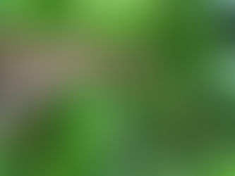 A urgência em nos tornamos uma sociedade sustentável