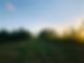 214900173_1172779079815913_6310586547140231255_n.jpg