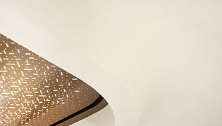 THE D.H. CHEN FOUNDATION