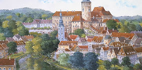 井口由多可｜公式Webサイト