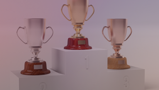 Who Cares About Awards?  