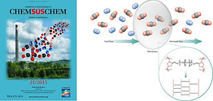 Tao-Chem-Sus-Chem-Cover-2.jpg