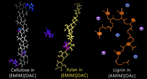 Aparna-Biomacro-2023.gif