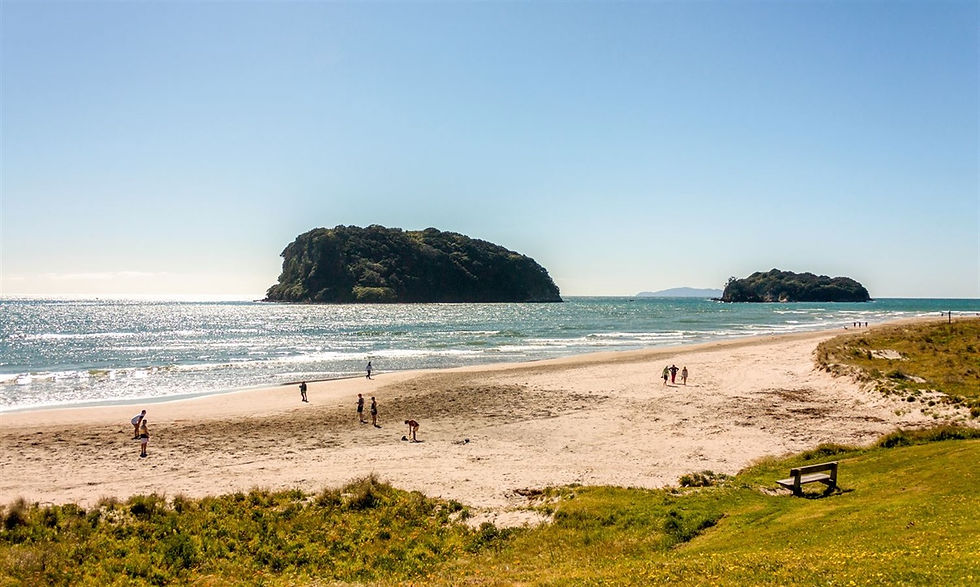 Whangamata Community Board  - Public Meeting