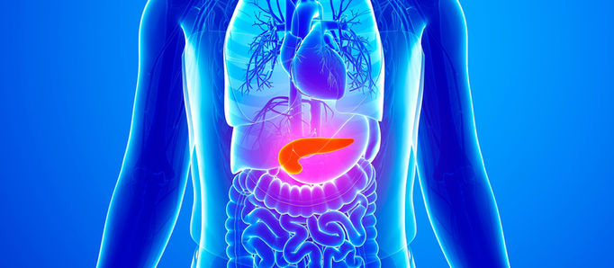 Managing Pancreatitis with Nutrition