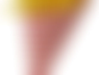 Journée Internationale de la frite Belge!