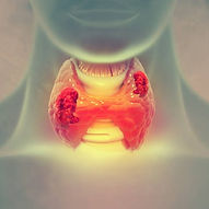 THYROIDE