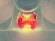 Les troubles de la thyroïde