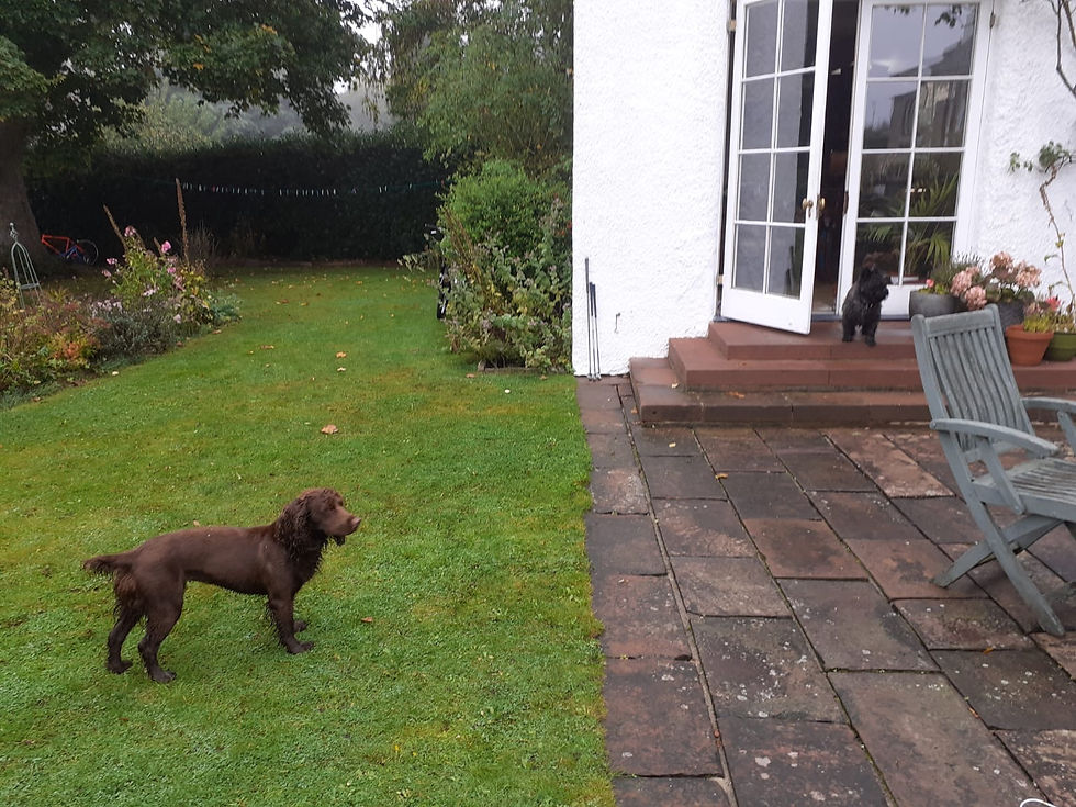 4f77d1c0-c059-4f8e-89dc-b14a43fac1b7