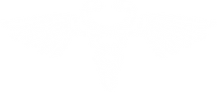 logo FARMAVERA.png