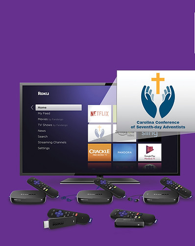 Roku Web banner AD.jpg