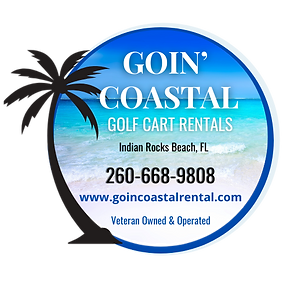 LOGO vo & website.png