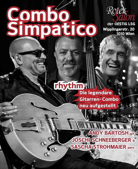 Roter Salon Plakat Kopie.jpeg