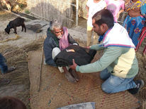 Nepal-Blanket Distribution Program
