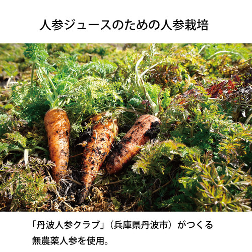 まるごと食べる感覚のすりおろし人参ジュース 丹波にんじん搾り 350ml 