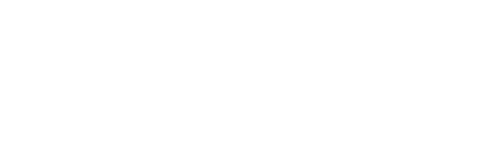VanquisLogo_horizontal_White.png