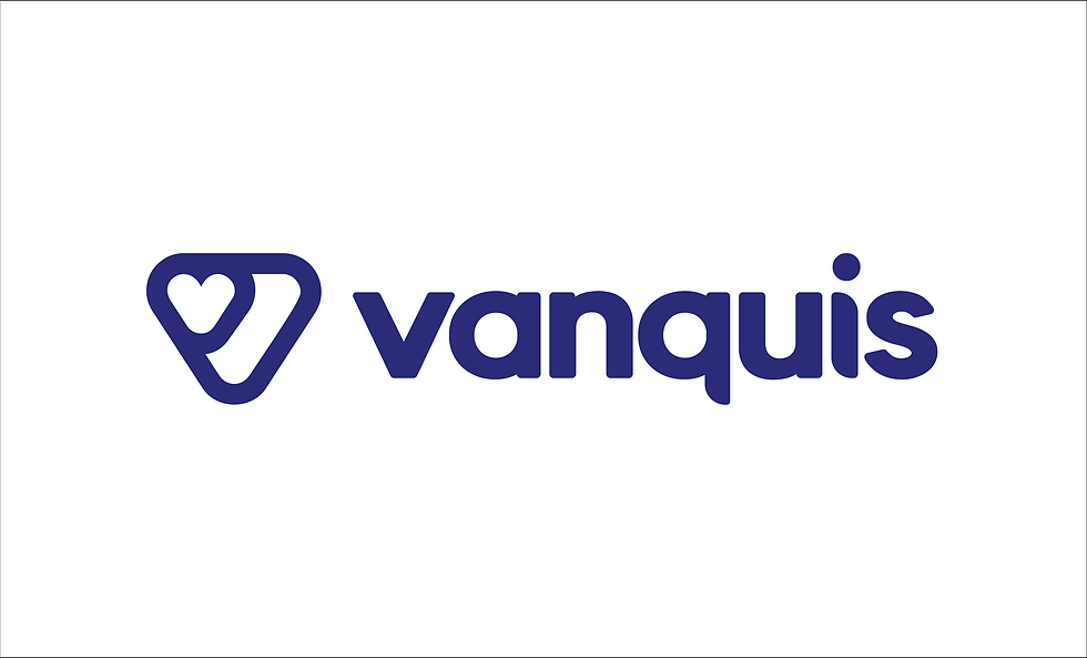 01 - VanquisLogo_horizontal-flat.png