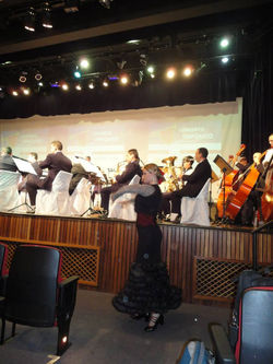 Concerto Sinfônico - 2012