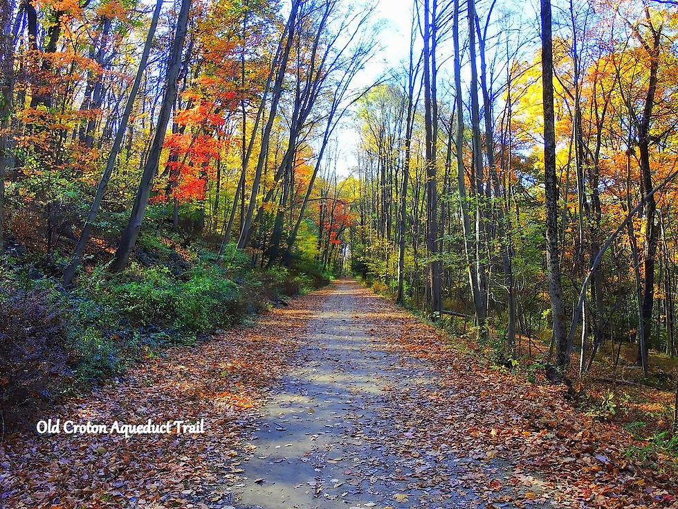 Old Croton Aqueduct Trail