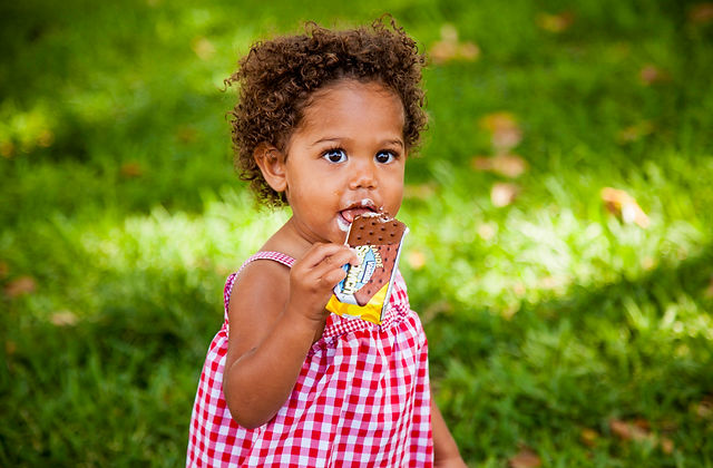 RichsIceCream.com | School Ice Cream | United States