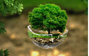 Diseño sin título (4).png