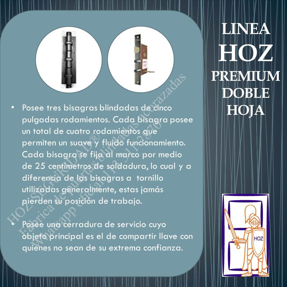 Miniatura: Bisagras blindadas con triple crapodina. 9 rulemanes por bisagra para soporte de gran peso.
