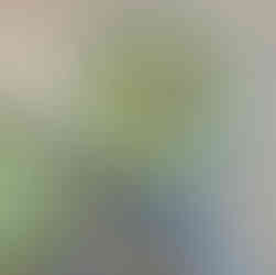 Rezepte mit Sprossen