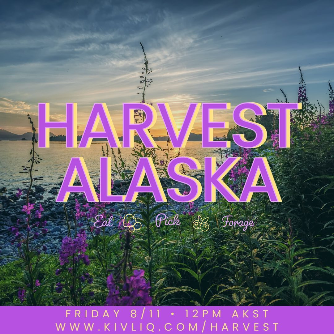 HARVEST ALASKA kivliq