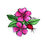 Thumbnail: FLORAL GREETING CARDS