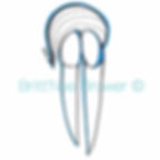 Aiviq Head