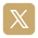 icons8-x-100