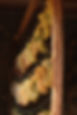 DSC_0217.JPG