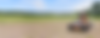 3T5A6343.png