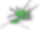 RCTE 2025 Dragon Head R.png