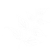 thewildwithin-logo-white-tww.png
