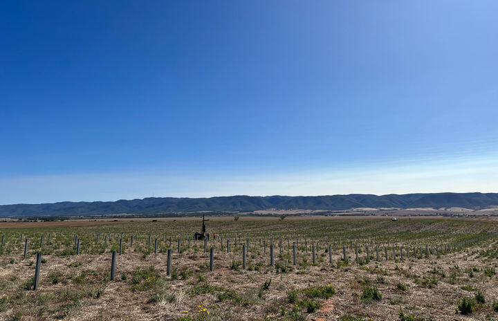 Yadlamalka Solar Farm South Australia Piling with Gayk Pile Driver