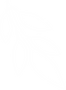 06(1).png