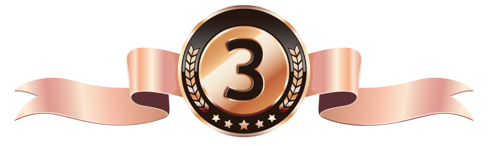 SBIS 1st place leaderboard