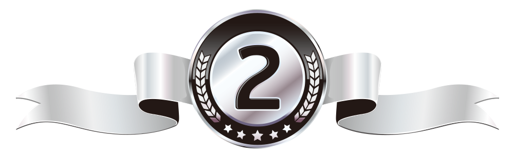 SBIS 1st place leaderboard