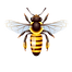 pngwing.com (23).png