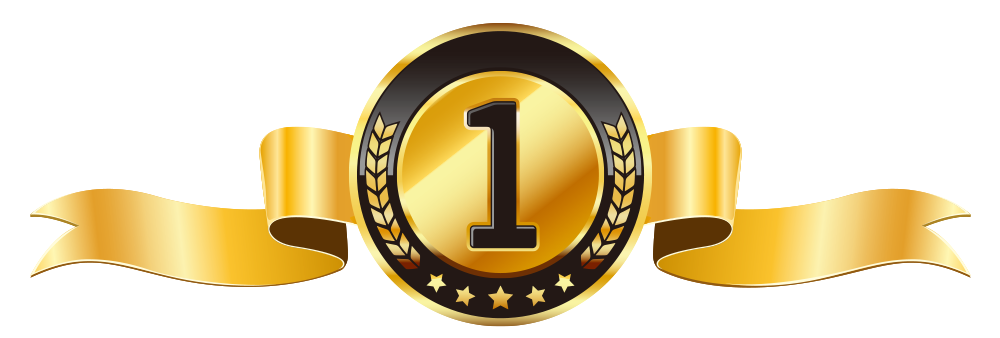 SBIS 1st place leaderboard