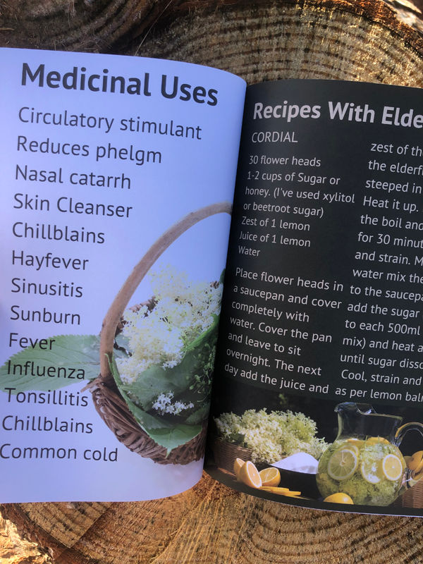 Thumbnail: Herbs for Summer