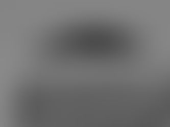 Why Birds Nest Removal in Your Chimney is Essential – Simon Sweeps South West (Bristol UK)