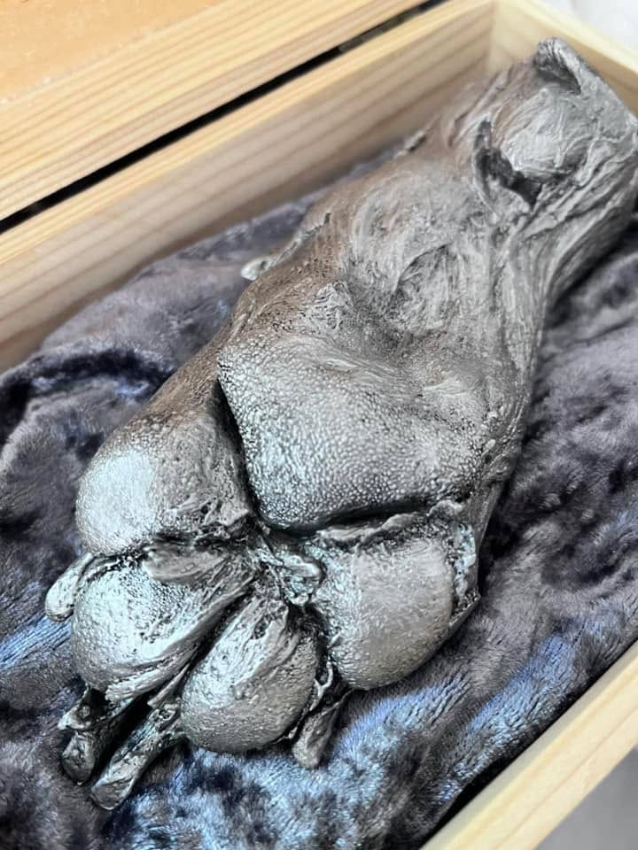 WhatsApp Image 2025-09-03 at 11.27.25_91eb1dcb.jpg