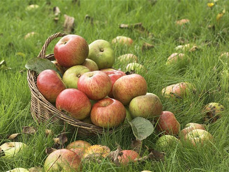 Cloudy Apple Juice vs. Clear Apple Juice: The Great Divide